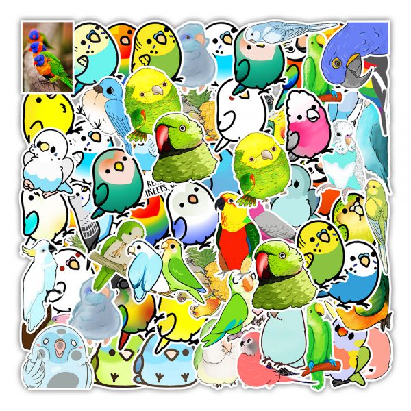 50 bird cartoon stickers helmet mobile phone kettle computer decoration stickers wholesale customized